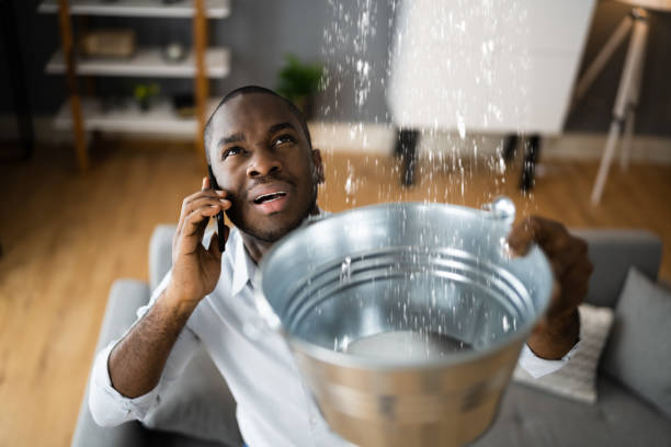 Best Ceiling water damage repair  in Hagerstown, MD