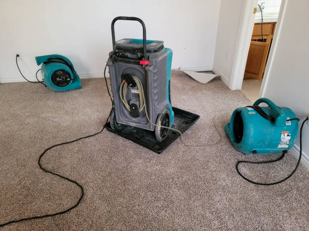 Best Water damage restoration specialists  in Hagerstown, MD