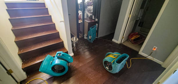 Best Water damage restoration near me  in Hagerstown, MD