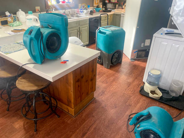 Best Mold removal after water damage  in Hagerstown, MD