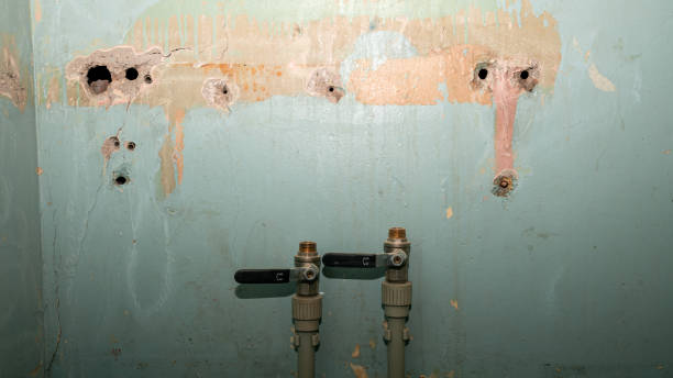 Best Sewage cleanup and water damage restoration  in Hagerstown, MD