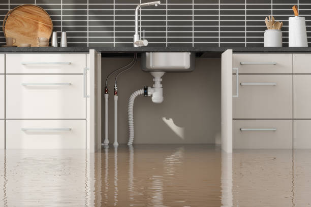 Best Local water damage restoration  in Hagerstown, MD
