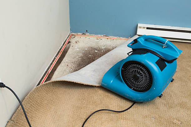 Best Basement water damage restoration  in Hagerstown, MD